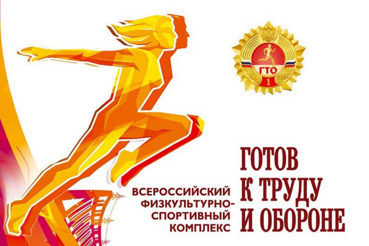 Всероссийский физкультурно-спортивный комплекс «Готов к труду и обороне» (ГТО).